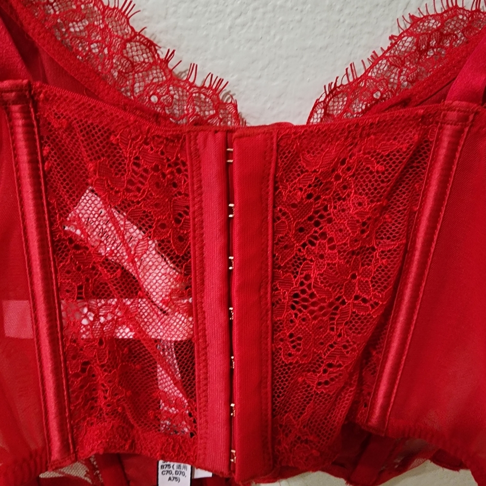 Victoria's Secret Red Lace Corset Hook Eye Closure Lace Up Front size Small - Picture 6 of 9